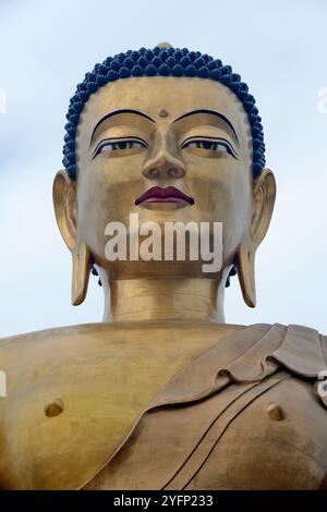 Grand Bouddha Dordenma, une gigantesque statue de Bouddha Shakyamuni, célébrant le 60e anniversaire du quatrième roi Jigme Singye Wangchuck, Thimphu, Bhoutan Banque D'Images