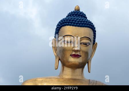 Grand Bouddha Dordenma, une gigantesque statue de Bouddha Shakyamuni, célébrant le 60e anniversaire du quatrième roi Jigme Singye Wangchuck, Thimphu, Bhoutan Banque D'Images