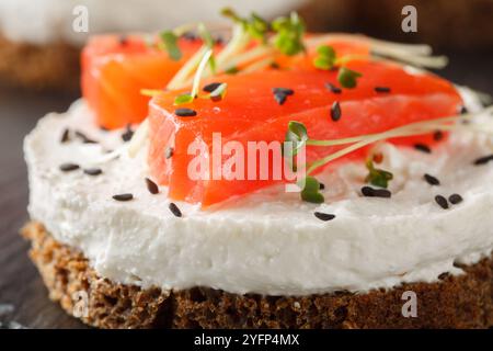 Cheesecake épicé salé avec poisson rouge, fromage à la crème, sésame et microverts gros plan sur une assiette d'ardoise sur la table. Horizontal Banque D'Images