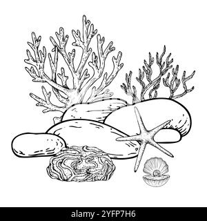 Pierre de galets vecteur, corail d'algues. Ligne peinte à la main algue, étoile de mer, laminaire. Coquillage d'huîtres ouvert graphique avec perle isolée sur fond. U Illustration de Vecteur