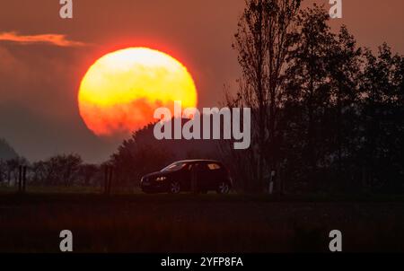 Jacobsdorf, Allemagne. 05 novembre 2024. Une voiture est sur la route au lever du soleil. Les habitants de Berlin et du Brandebourg peuvent s'attendre à un peu plus de soleil que ces derniers jours et même à un ciel sans nuages par endroits. Au cours de la journée, le ciel initialement nuageux dans le nord se éclaircira, mais il restera partiellement brumeux dans le sud, selon le service météorologique allemand (DWD). Crédit : Patrick Pleul/dpa/Alamy Live News Banque D'Images