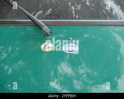 Arquato, PC, italie - 31 octobre 2024 vue rapprochée d'un capot de voiture vert avec un autocollant castel arquato per moto bosi et une tortue conduisant un vélo Banque D'Images