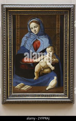 Musée du Louvre, Paris, France. Piero Di Lorenzo, appelé Piero di Cosimo. La Vierge et l'enfant avec une colombe.tempera et huile sur panneau, environ 1490 Banque D'Images