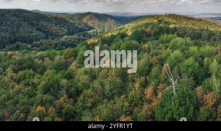 Vue aérienne du paysage d'automne de Fruska Gora, avec un feuillage vert et jaune couvrant les collines et les vallées près de Novi Sad Banque D'Images