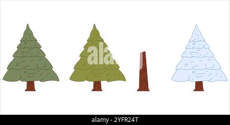Sapin épicéa phase saisonnière croissance plante cycle environnemental naturel été printemps automne automne hiver automne arbres colorés feuilles branches troncs Illustration de Vecteur