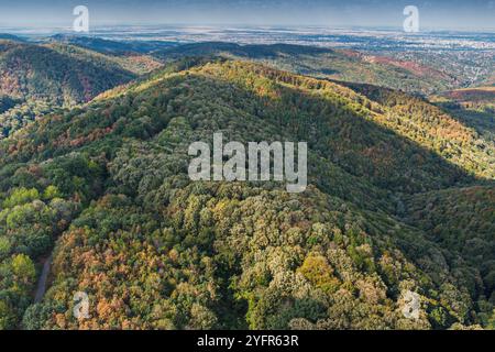 Vue aérienne du paysage d'automne de Fruska Gora, avec un feuillage vert et jaune couvrant les collines et les vallées près de Novi Sad Banque D'Images