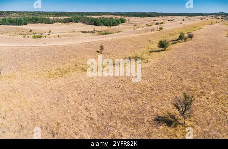 Une vue aérienne panoramique du désert serbe Deliblatska Pescara révèle une vaste étendue de plaines vides et de collines ondulantes sous un ciel clair Banque D'Images