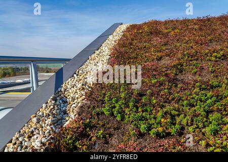 Vaste toit de gazon vivant écologique vert avec station d'épuration des eaux usées de zone racinaire, journée d'été ensoleillée Banque D'Images