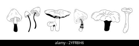 ensemble de différents champignons toxiques et comestibles Illustration de Vecteur