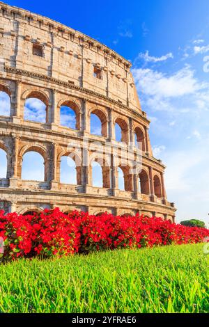 Rome, Italie. Le Colisée ou Colisée. Banque D'Images