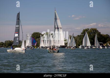 Serbie, 28 septembre 2024 : une régate de voile de Micro Class a eu lieu sur la Save à Belgrade Banque D'Images