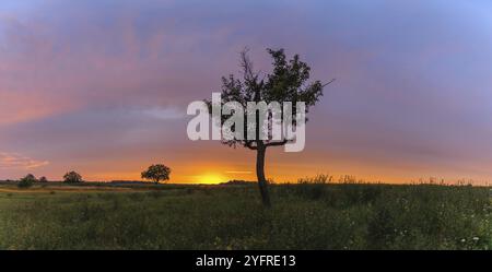 Lever de soleil dans un paysage de campagne printanière. Panorama, panoramique, Alsace, Grand est, France, Europe Banque D'Images