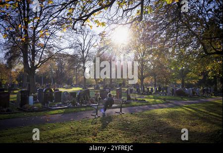 Femme âgée assise sur le banc, regardant la tombe, Tauer, solitude, couleurs d'automne, automne, contre-jour, cimetière principal, Stuttgart, Bade-Wuerttemberg, Banque D'Images