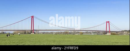 Vue panoramique sur les prairies du Rhin sur la rive gauche du Rhin jusqu'au pont suspendu ancré avec deux culées et des piliers en acier rouge surnommés Go Banque D'Images