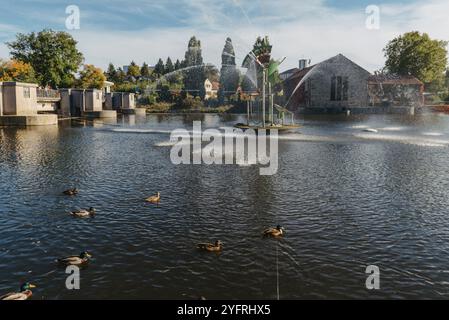 Canards sur le lac dans le parc. Garez-vous à l'automne. Arbres d'automne. Les canards sauvages se reflètent dans le lac. Plumes d'oiseau multicolores. Un étang avec Duc sauvage Banque D'Images