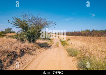 Une vue panoramique sur le désert serbe Deliblatska Pescara révèle une vaste étendue de plaines vides et de collines ondulantes sous un ciel clair Banque D'Images