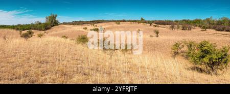 Une vue panoramique sur le désert serbe Deliblatska Pescara révèle une vaste étendue de plaines vides et de collines ondulantes sous un ciel clair Banque D'Images