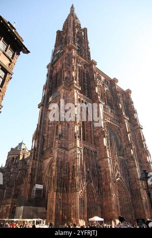 Cathédrale notre-Dame de Strasbourg, un bâtiment gothique en Alsace, France, 2024 portrait de jour Banque D'Images