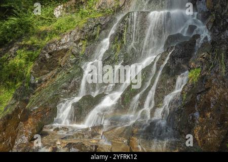 Cascade d'eau douce dans la montagne en automne. Alsace, France, Europe Banque D'Images