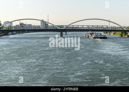 Le Rhin entre Strasbourg et Kehl vu du jardin des deux rives. Bas-Rhin, collectivité europeenne d'Alsace, Grand est Banque D'Images