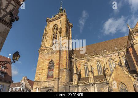 La collégiale Saint-Martin sur la place de la Cathédrale dans la ville de Colmar. Alsace, France, Europe Banque D'Images