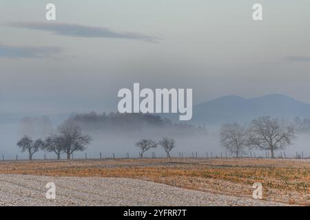 Brumes matinales dans la plaine en hiver. Bas-Rhin, Alsace, Grand est, France, Europe Banque D'Images