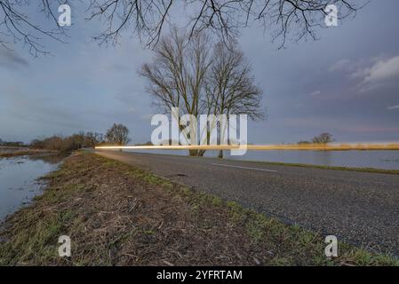 Voiture conduisant vite sur la route dans la soirée Banque D'Images