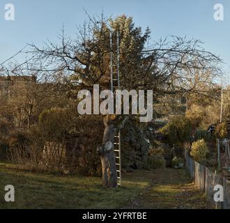 Sérénité d'automne en Allemagne. Villages de campagne et vignobles le long de la rivière. Embarquez pour un voyage visuel à travers les sereins paysages automnaux de GER Banque D'Images