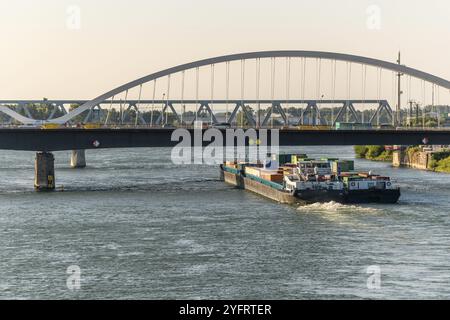 Le Rhin entre Strasbourg et Kehl vu du jardin des deux rives. Bas-Rhin, collectivité europeenne d'Alsace, Grand est Banque D'Images