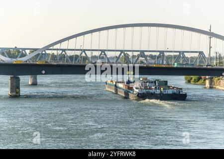 Le Rhin entre Strasbourg et Kehl vu du jardin des deux rives. Bas-Rhin, collectivité europeenne d'Alsace, Grand est Banque D'Images