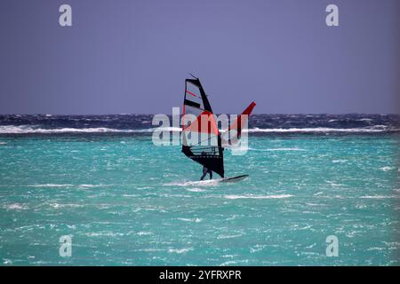 Planche à voile dans le lagon bleu de Lac Bay, Bonaire, Caraïbes pays-Bas Banque D'Images