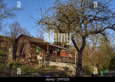 Sérénité d'automne en Allemagne. Villages de campagne et vignobles le long de la rivière. Embarquez pour un voyage visuel à travers les sereins paysages automnaux de GER Banque D'Images