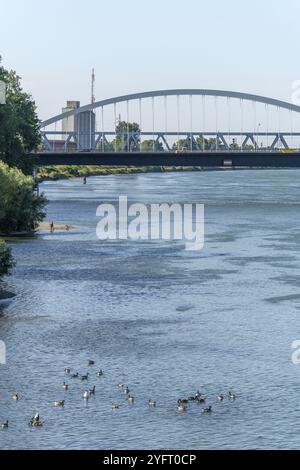 Le Rhin entre Strasbourg et Kehl vu du jardin des deux rives. Bas-Rhin, collectivité europeenne d'Alsace, Grand est Banque D'Images