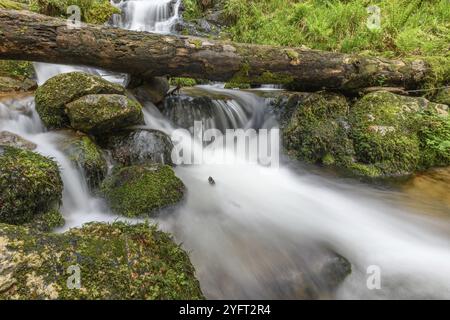 Torrent de montagne dans les Vosges. Cascade de Charlemagne sur la Vologne Banque D'Images