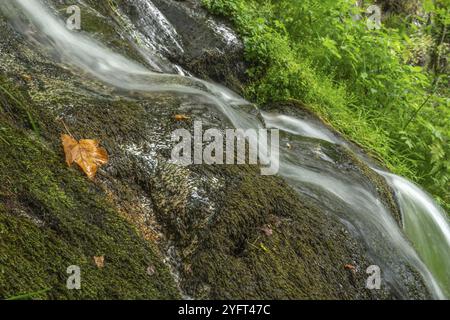 Cascade d'eau douce dans la montagne en automne. Alsace, France, Europe Banque D'Images