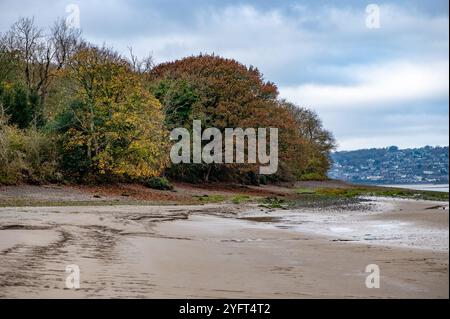 Vue d'automne, Arnside, Milnthorpe, Cumbria, Royaume-Uni Banque D'Images