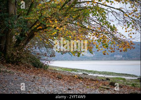 Vue d'automne, Arnside, Milnthorpe, Cumbria, Royaume-Uni Banque D'Images