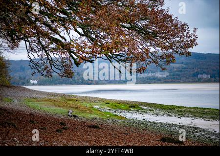 Vue d'automne, Arnside, Milnthorpe, Cumbria, Royaume-Uni Banque D'Images