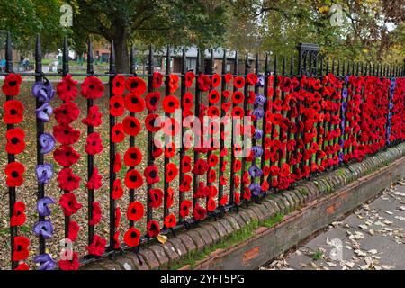 Marlow, Buckinghamshire, Royaume-Uni. 5 novembre 2024. Le Marlow Poppy Display Group of local Ladies, a été occupé à fabriquer des milliers de coquelicots tricotés et crochetés qui sont maintenant exposés sur les balustrades de l'église All Saints et les balustrades de Higginson Park près de la chaussée à Marlow, Buckinghamshire. Près de neuf mille livres ont été levées par le groupe depuis 2020 pour le Marlow British Legion Poppy Appeal. Crédit : Maureen McLean/Alamy Live News Banque D'Images