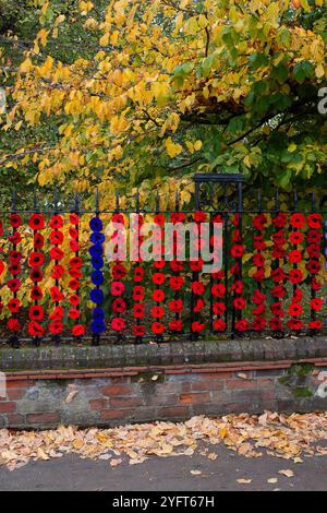 Marlow, Buckinghamshire, Royaume-Uni. 5 novembre 2024. Le Marlow Poppy Display Group of local Ladies, a été occupé à fabriquer des milliers de coquelicots tricotés et crochetés qui sont maintenant exposés sur les balustrades de l'église All Saints et les balustrades de Higginson Park près de la chaussée à Marlow, Buckinghamshire. Près de neuf mille livres ont été levées par le groupe depuis 2020 pour le Marlow British Legion Poppy Appeal. Crédit : Maureen McLean/Alamy Live News Banque D'Images