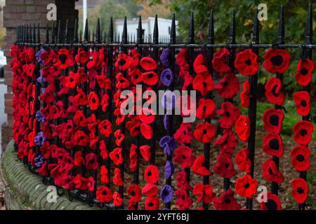 Marlow, Buckinghamshire, Royaume-Uni. 5 novembre 2024. Le Marlow Poppy Display Group of local Ladies, a été occupé à fabriquer des milliers de coquelicots tricotés et crochetés qui sont maintenant exposés sur les balustrades de l'église All Saints et les balustrades de Higginson Park près de la chaussée à Marlow, Buckinghamshire. Près de neuf mille livres ont été levées par le groupe depuis 2020 pour le Marlow British Legion Poppy Appeal. Crédit : Maureen McLean/Alamy Live News Banque D'Images