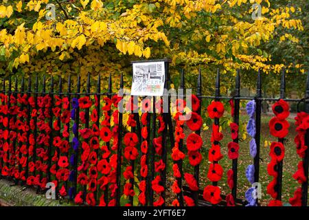 Marlow, Buckinghamshire, Royaume-Uni. 5 novembre 2024. Le Marlow Poppy Display Group of local Ladies, a été occupé à fabriquer des milliers de coquelicots tricotés et crochetés qui sont maintenant exposés sur les balustrades de l'église All Saints et les balustrades de Higginson Park près de la chaussée à Marlow, Buckinghamshire. Près de neuf mille livres ont été levées par le groupe depuis 2020 pour le Marlow British Legion Poppy Appeal. Crédit : Maureen McLean/Alamy Live News Banque D'Images