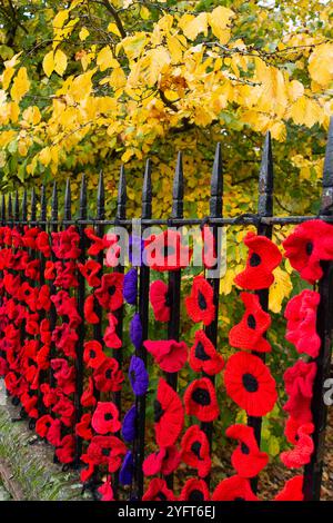 Marlow, Buckinghamshire, Royaume-Uni. 5 novembre 2024. Le Marlow Poppy Display Group of local Ladies, a été occupé à fabriquer des milliers de coquelicots tricotés et crochetés qui sont maintenant exposés sur les balustrades de l'église All Saints et les balustrades de Higginson Park près de la chaussée à Marlow, Buckinghamshire. Près de neuf mille livres ont été levées par le groupe depuis 2020 pour le Marlow British Legion Poppy Appeal. Crédit : Maureen McLean/Alamy Live News Banque D'Images