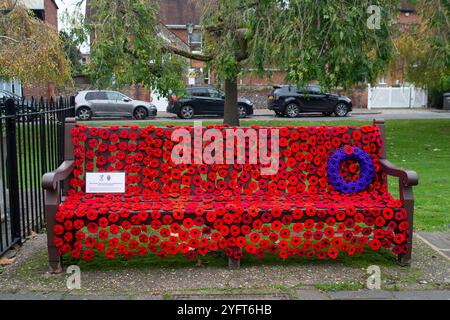 Marlow, Buckinghamshire, Royaume-Uni. 5 novembre 2024. Le Marlow Poppy Display Group of local Ladies, a été occupé à fabriquer des milliers de coquelicots tricotés et crochetés qui sont maintenant exposés sur les balustrades de l'église All Saints et les balustrades de Higginson Park près de la chaussée à Marlow, Buckinghamshire. Près de neuf mille livres ont été levées par le groupe depuis 2020 pour le Marlow British Legion Poppy Appeal. Crédit : Maureen McLean/Alamy Live News Banque D'Images