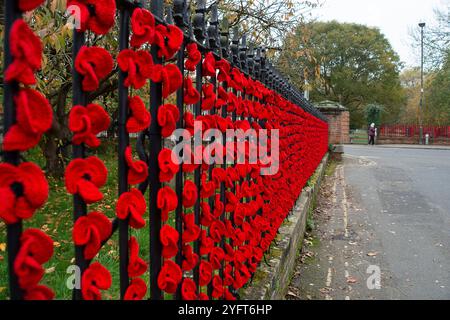 Marlow, Buckinghamshire, Royaume-Uni. 5 novembre 2024. Le Marlow Poppy Display Group of local Ladies, a été occupé à fabriquer des milliers de coquelicots tricotés et crochetés qui sont maintenant exposés sur les balustrades de l'église All Saints et les balustrades de Higginson Park près de la chaussée à Marlow, Buckinghamshire. Près de neuf mille livres ont été levées par le groupe depuis 2020 pour le Marlow British Legion Poppy Appeal. Crédit : Maureen McLean/Alamy Live News Banque D'Images