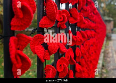 Marlow, Buckinghamshire, Royaume-Uni. 5 novembre 2024. Le Marlow Poppy Display Group of local Ladies, a été occupé à fabriquer des milliers de coquelicots tricotés et crochetés qui sont maintenant exposés sur les balustrades de l'église All Saints et les balustrades de Higginson Park près de la chaussée à Marlow, Buckinghamshire. Près de neuf mille livres ont été levées par le groupe depuis 2020 pour le Marlow British Legion Poppy Appeal. Crédit : Maureen McLean/Alamy Live News Banque D'Images