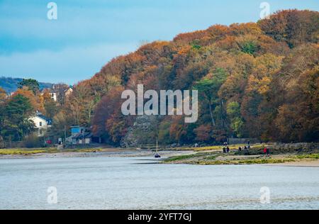 Vue d'automne, Arnside, Milnthorpe, Cumbria, Royaume-Uni Banque D'Images