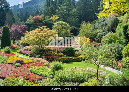 Une variété de plantes et de fleurs colorées luxuriantes remplissent les jardins encastrés des jardins butchart. Banque D'Images