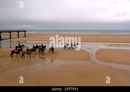 Chevaux sur Omaha Beach en Normandie France Banque D'Images