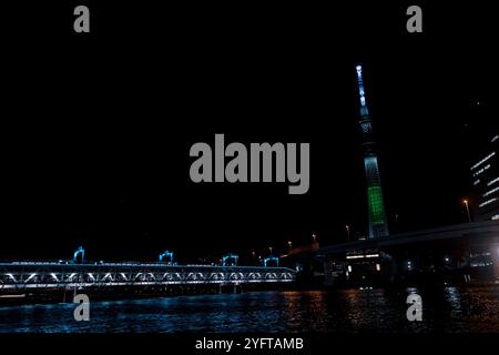 Tokyo Sky Tree et Sumida River, paysage nocturne, Tokyo, Japon © Giorgia de Dato Banque D'Images